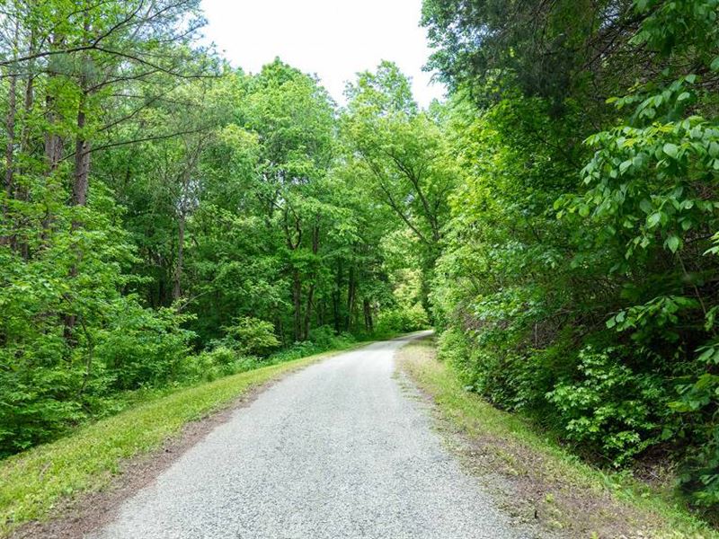 11.38 Acre in Perry County, TN : Linden : Perry County : Tennessee