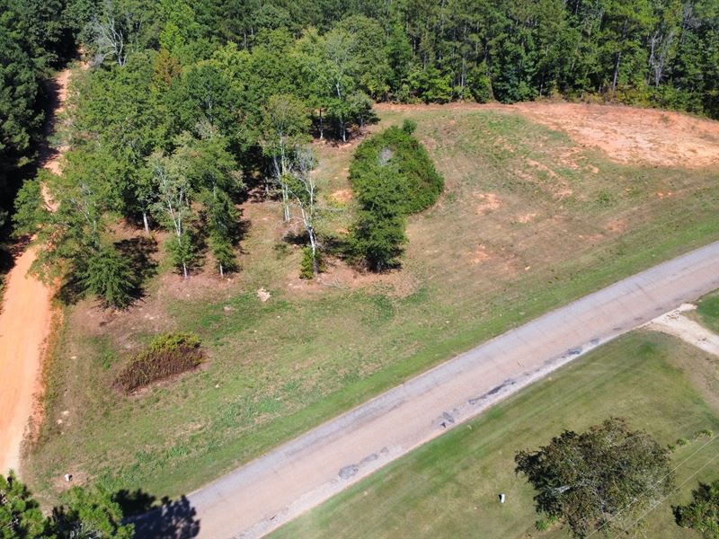 2 Acres in Woodland : Woodland : Randolph County : Alabama