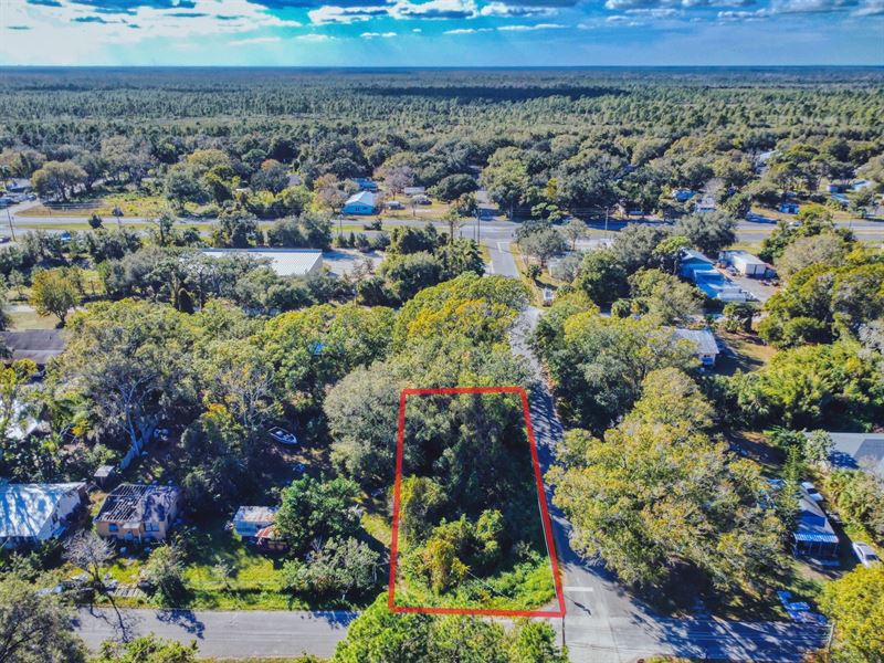 Prime Lot in Mims, FL : Mims : Brevard County : Florida