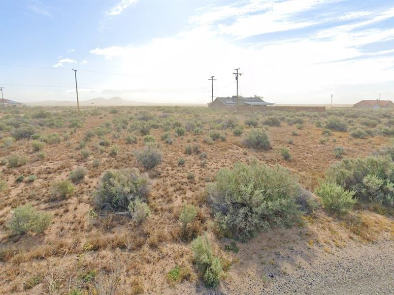 $724.67 Down for Endless Views : California City : Kern County : California