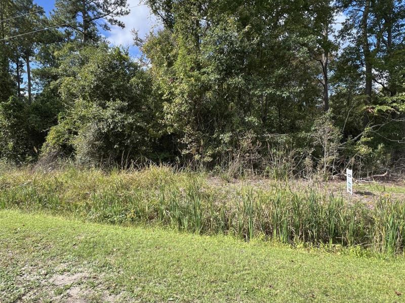 Lot for Sale in Washington, NC : Washington : Beaufort County : North Carolina