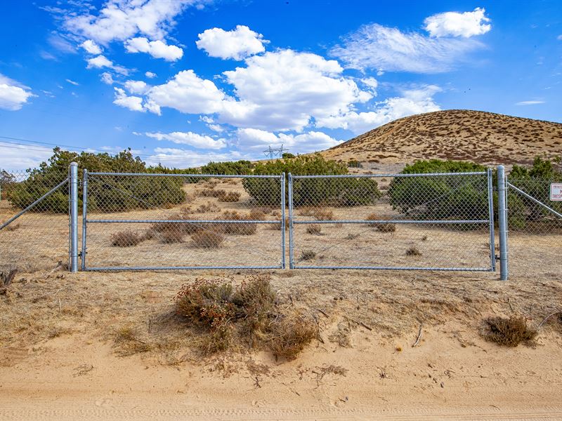 Fully Fenced, That's Rare : Acton : Los Angeles County : California