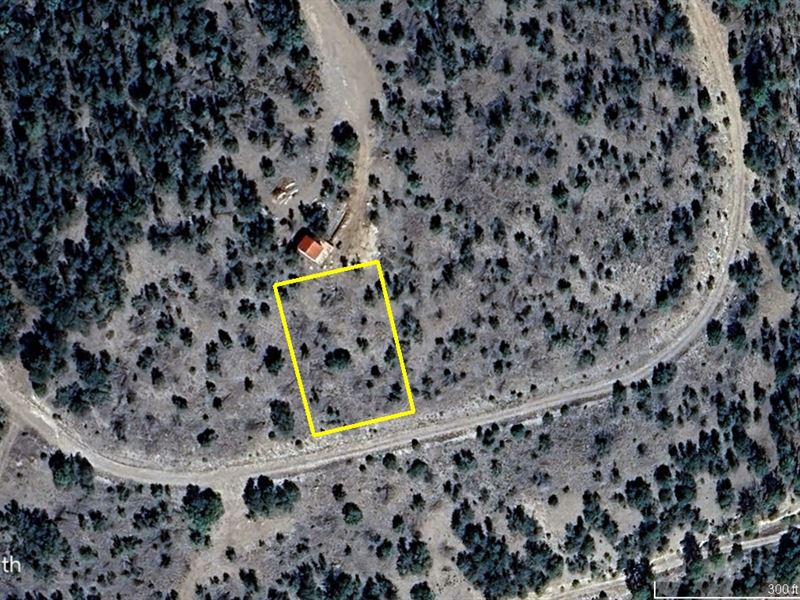 Forest Recreational Lot : Cloudcroft : Otero County : New Mexico