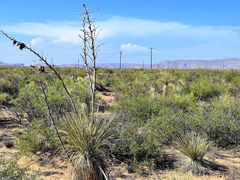 Adventure Lot Recreational Paradise : El Paso : El Paso County : Texas