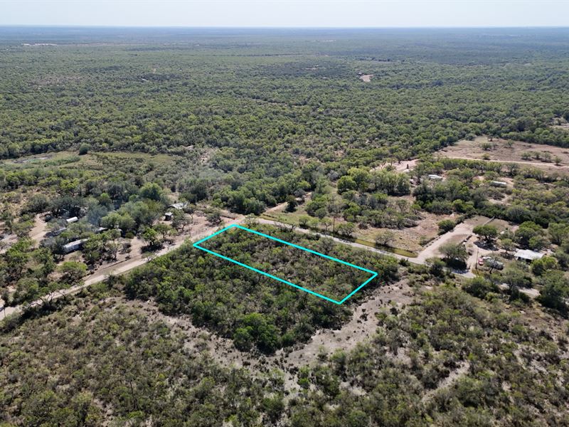 Texas Lot, City Access, No HOA : Christine : Atascosa County : Texas