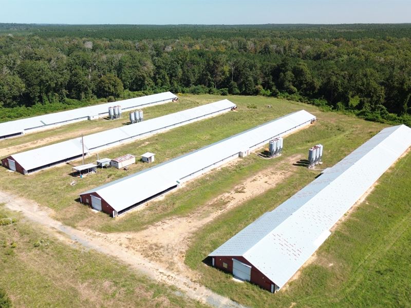 Zoar Road Broiler Farm : Chatham : Jackson Parish : Louisiana