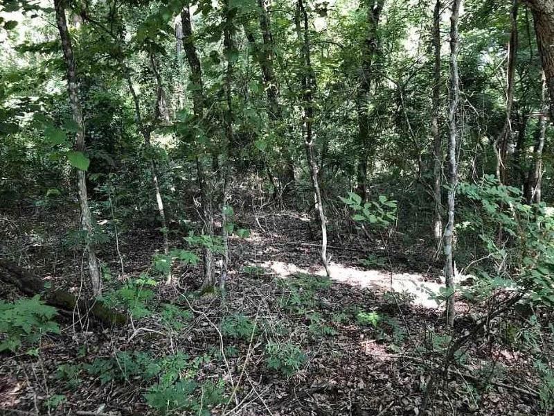 Secluded Wooded Holiday Dr, Lot : Briarcliff : Baxter County : Arkansas