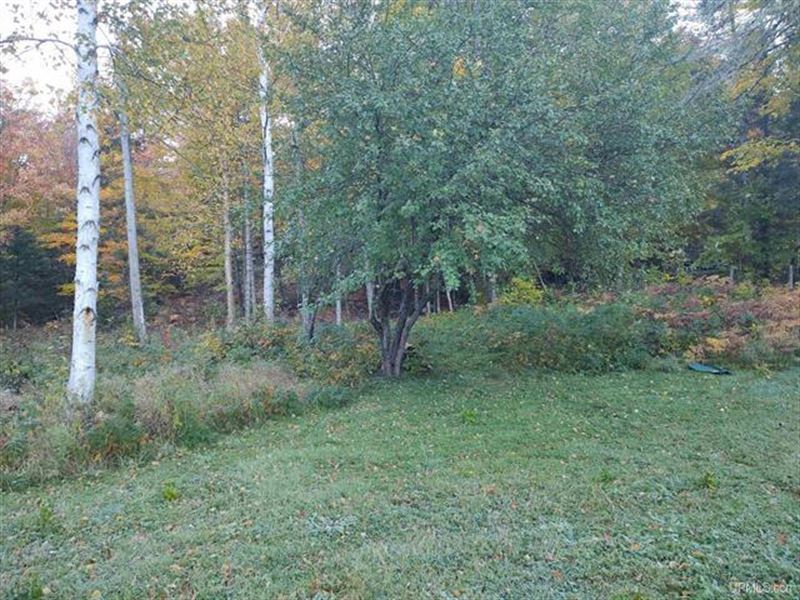 Small Wooded Building Parcel : Michigamme : Baraga County : Michigan