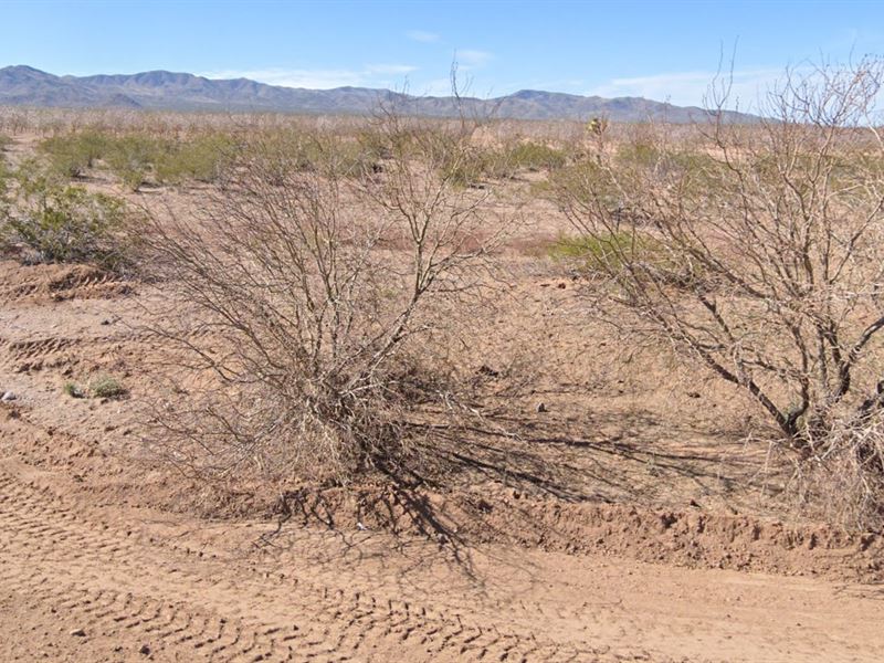 Ditch The City, Find Your Zen : Meadview : Mohave County : Arizona