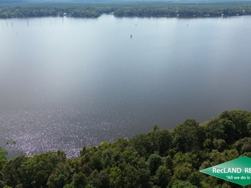 11.1 Ac, Waterfront Tract on Lake : Bradley : Lafayette County : Arkansas