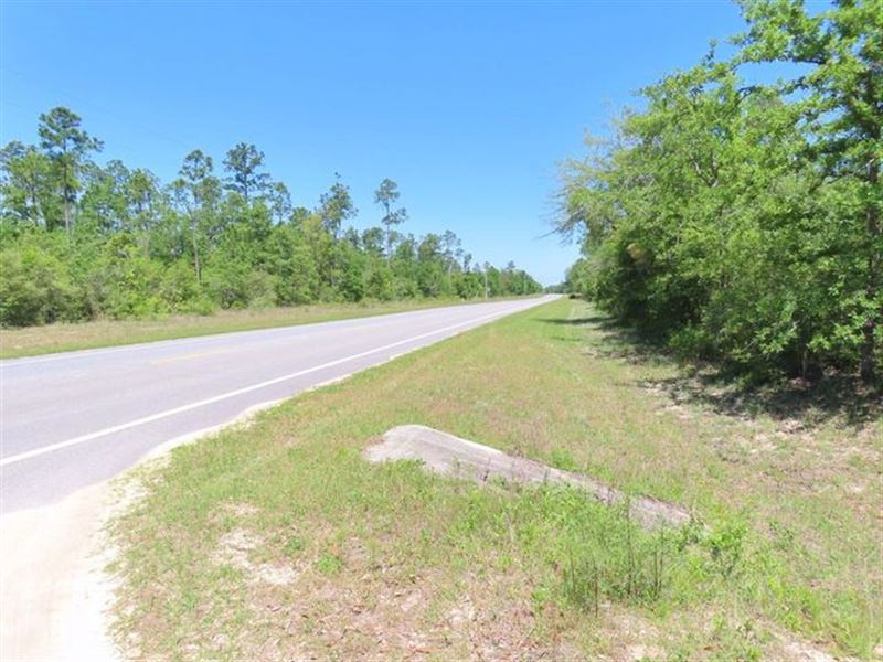 Florida Land Twin Lots : Marianna : Marion County : Florida