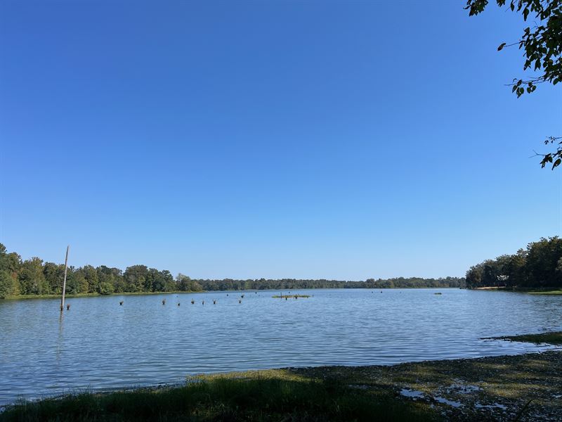 Beautiful Black Warrior Bay Lot 48 : Sawyerville : Hale County : Alabama