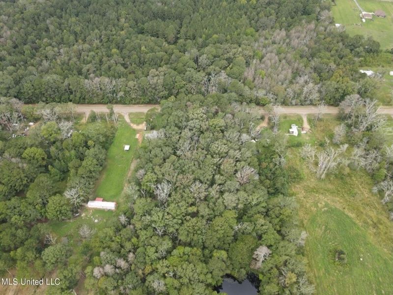 3 Acre Lot in Forest, MS : Forest : Scott County : Mississippi