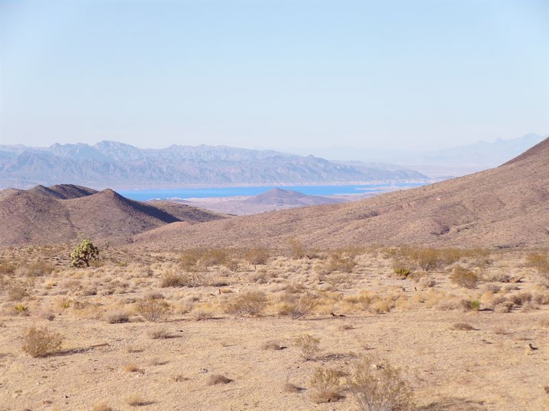 Willow Beach Desert Hideaway : Willow Beach : Mohave County : Arizona