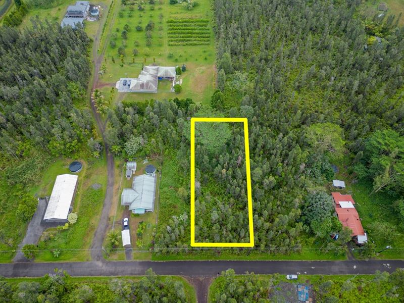 .21 Acre Lot Near Pahoa Town : Pahoa : Hawaii County : Hawaii