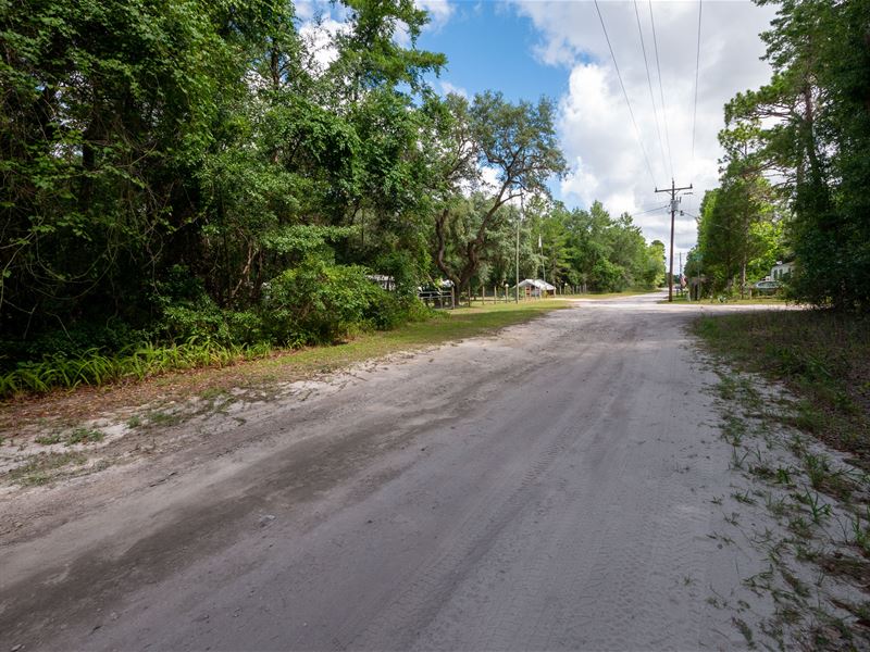 Escape The Concrete Jungle : Fort Mc Coy : Marion County : Florida