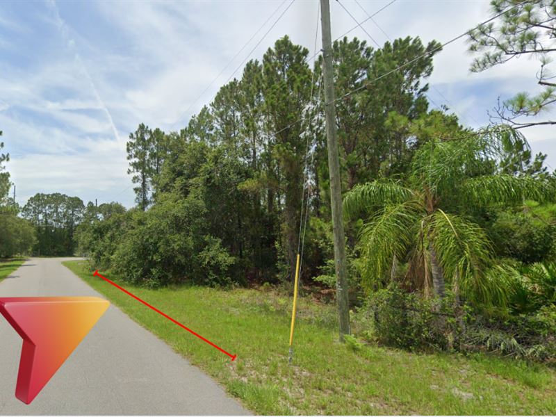 3.65 Acres in A Scenic Area : Saint Cloud : Osceola County : Florida