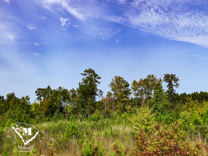 4+/- Acre Homesite in Union County : Union : Union County : South Carolina