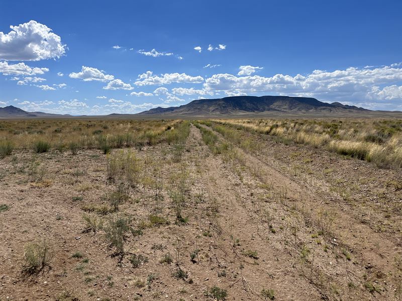 More Than 4 Acre Lot is Waiting : Sanford : Costilla County : Colorado