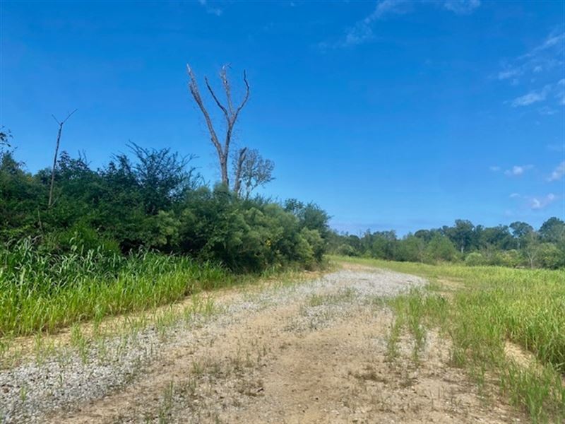 16 Acres Magnolia Holmesville Road : McComb : Pike County : Mississippi