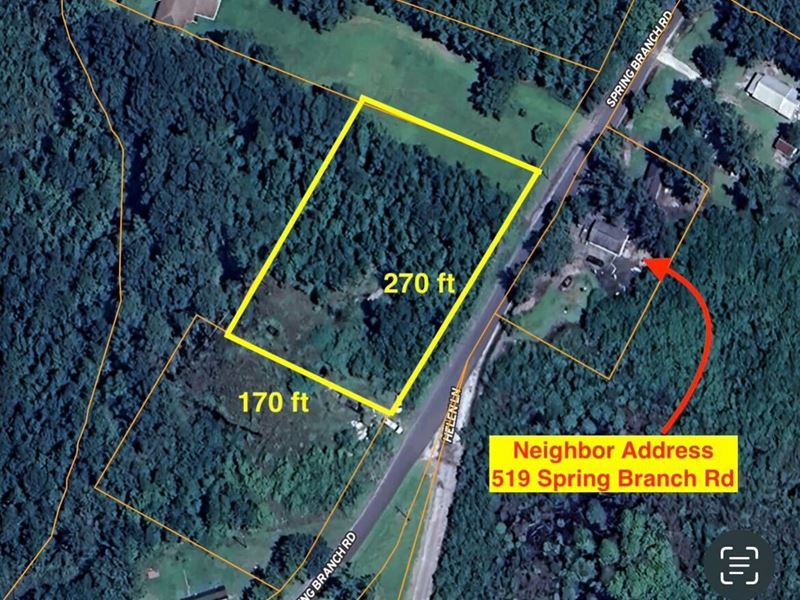 1 Acre Lot on Spring Branch, SC : Harleyville : Dorchester County : South Carolina