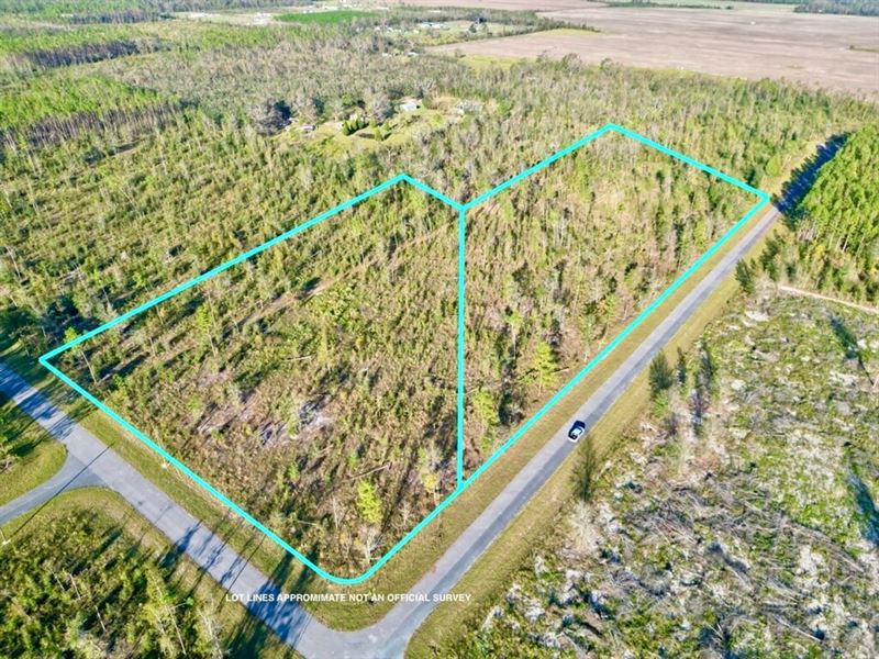 Hines Place Lot 43 & 44 : Live Oak : Suwannee County : Florida