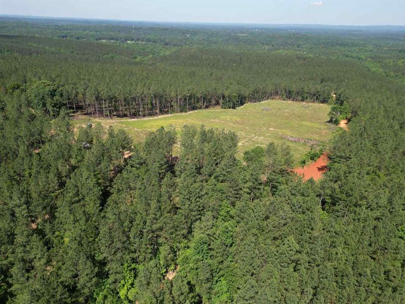 Dream Homesite on Lookout Mountain : Mentone : DeKalb County : Alabama