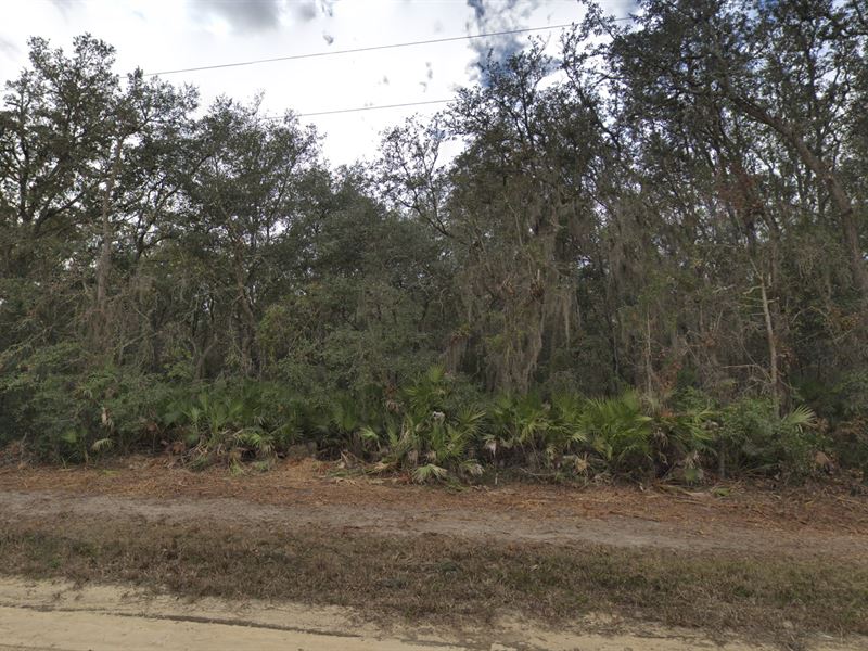 .86 Acre Lot Surrounded by Nature : Interlachen : Putnam County : Florida