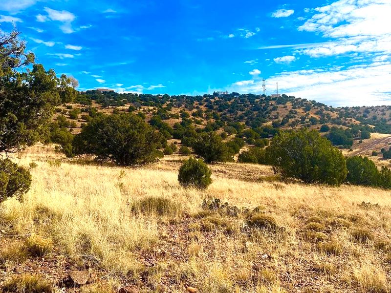 Near Concho Lake, Gravel Rd Access : Concho : Apache County : Arizona