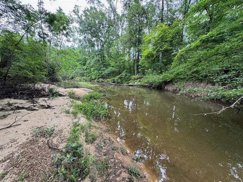 16.14 Acres Tangipahoa River Fronta : Magnolia : Pike County : Mississippi