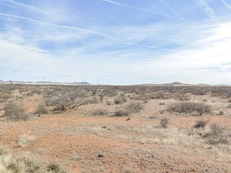 Willcox, AZ Special for $100/Month : Willcox : Cochise County : Arizona