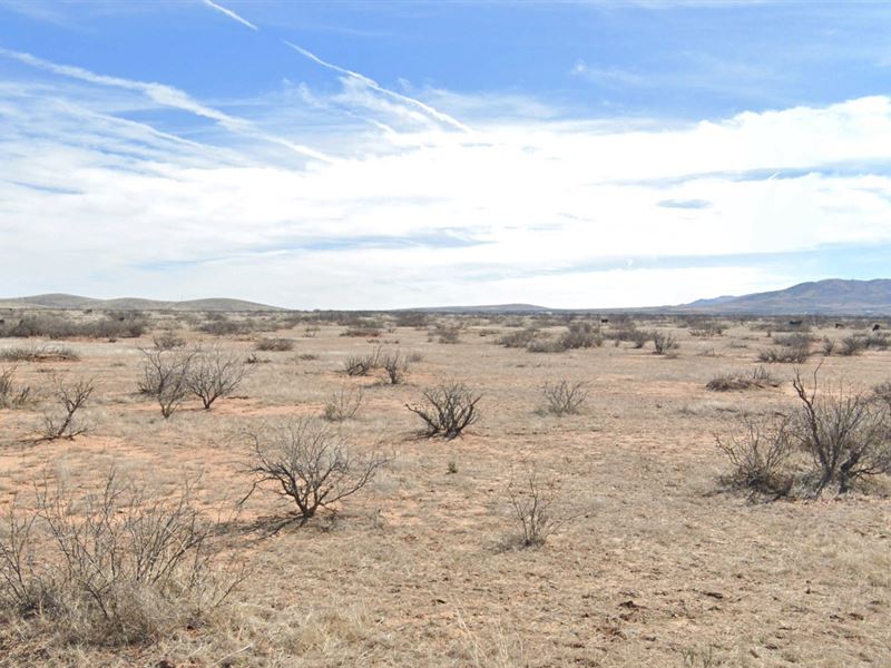 Serene Landscape for $100/Month : Willcox : Cochise County : Arizona