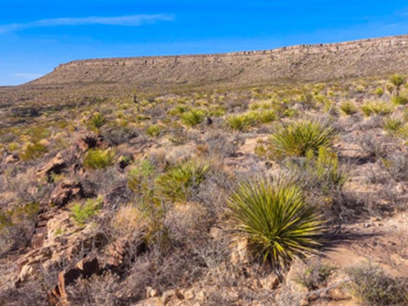 Double Your Pleasure in West Texas : Sierra Blanca : Hudspeth County : Texas