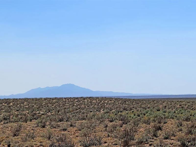 Invest in New Mexico Paradise : Belen : Valencia County : New Mexico