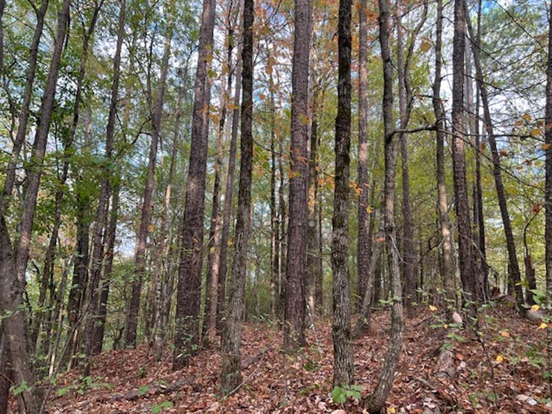 4.07+/- Ac Zoned R-2, Cartersville : Cartersville : Bartow County : Georgia