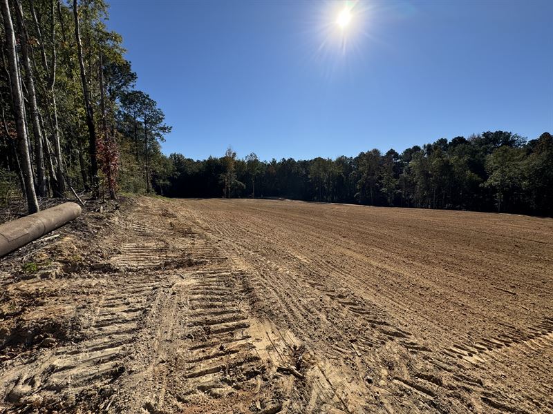 Homesites, Views, Great Location : Brookhaven : Lincoln County : Mississippi