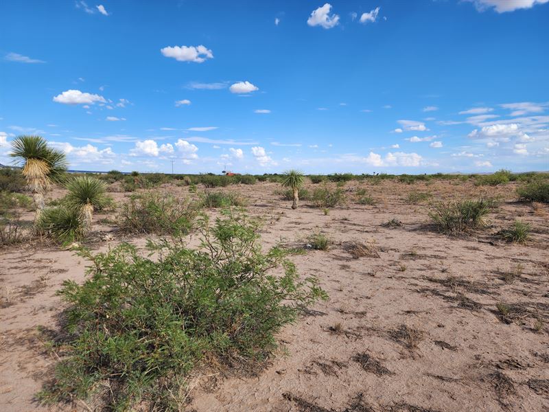 18.2 Acres NM Land, Limited Offer : Deming : Luna County : New Mexico