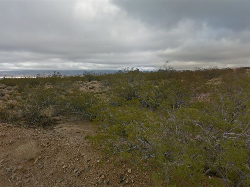 Buy This Land and Watch It Grow : Kingman : Mohave County : Arizona