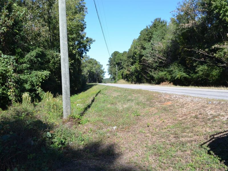 9 Acre Recreational Tract or Homesi : Skipperville : Dale County : Alabama