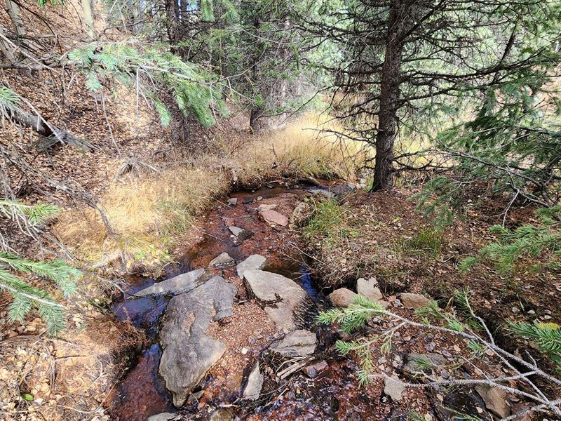 Camp Next to Your Creek : Cripple Creek : Teller County : Colorado