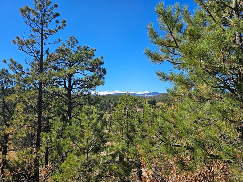 6.22 Acres Pine Valley : Weston : Las Animas County : Colorado