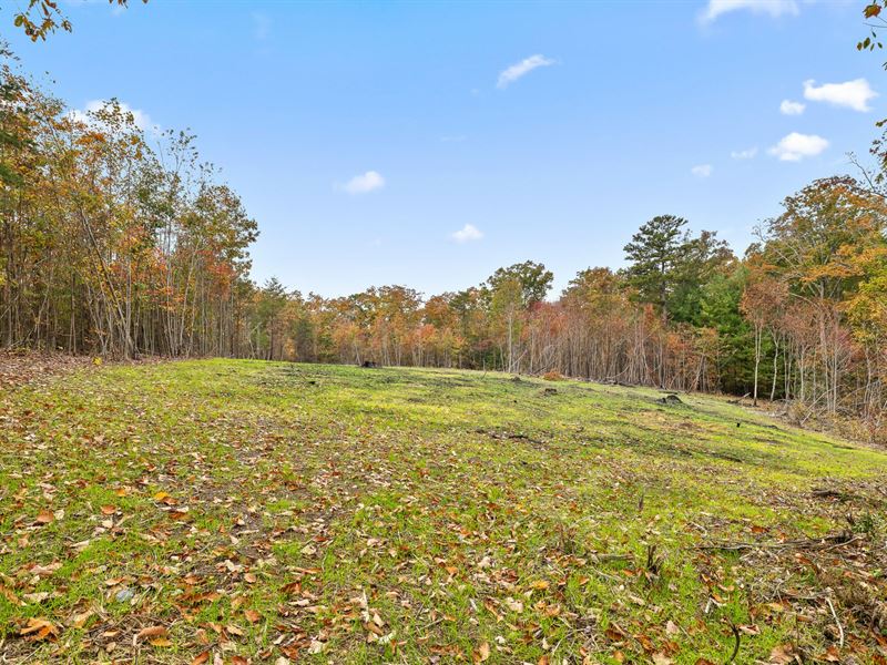 Build On Signal Mountain : Signal Mountain : Sequatchie County : Tennessee