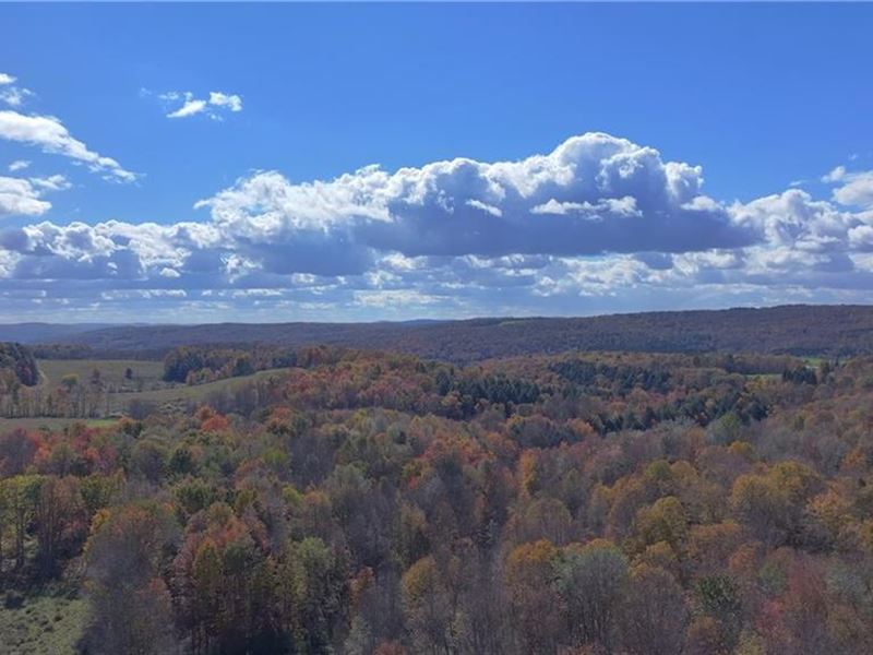 13 Acre Country Lot : Brookfield : Madison County : New York