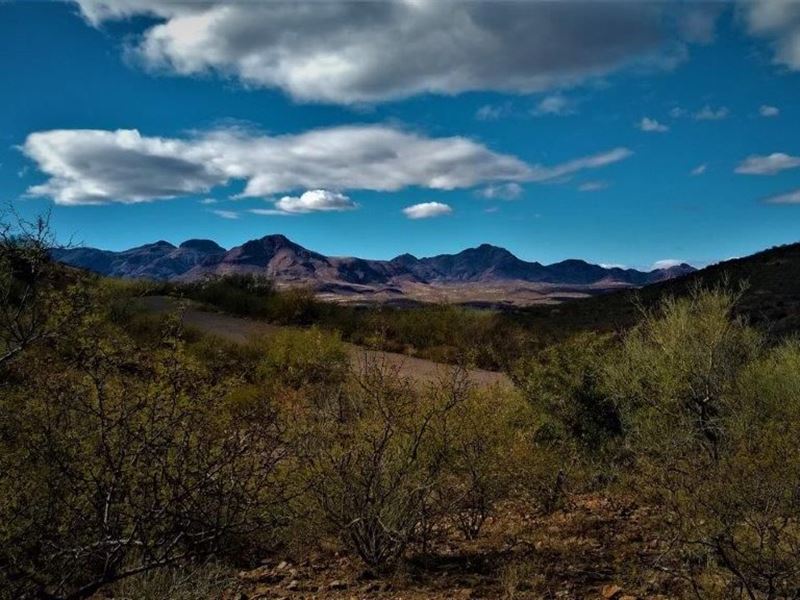 Selling This Awesome Rio Rico Lot : Rio Rico : Santa Cruz County : Arizona