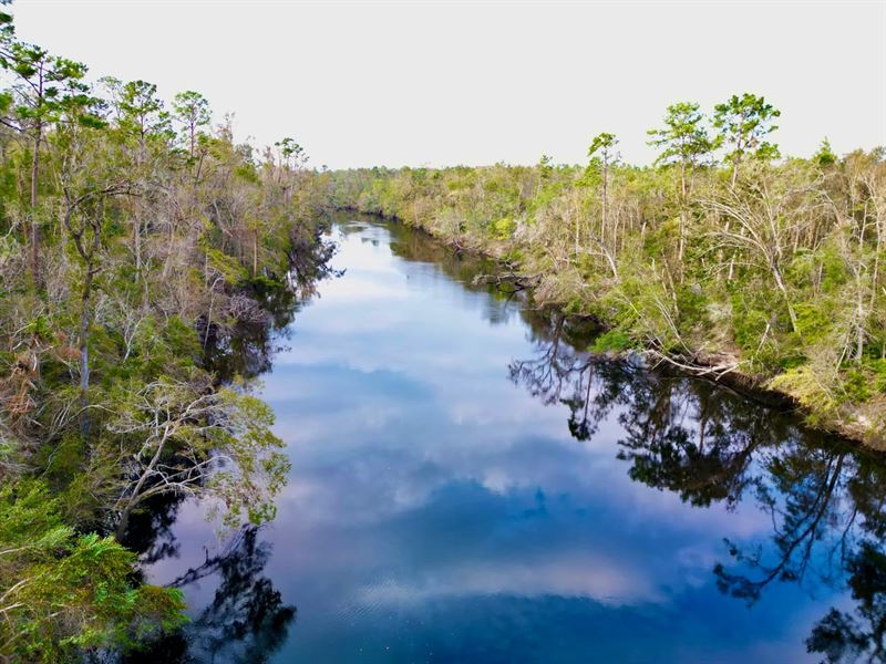 Amazing View of The Suwannee River : Live Oak : Suwannee County : Florida