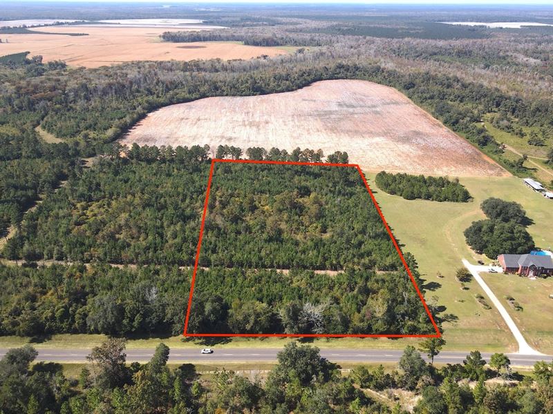 Old US Rd, 10 Acres : Marianna : Jackson County : Florida