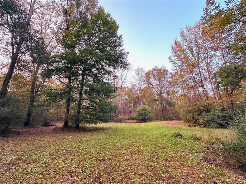 Small Acreage in Summit, MS for Sal : Summit : Pike County : Mississippi