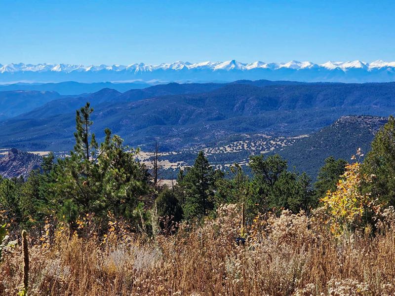 Magnificent View : Cripple Creek : Teller County : Colorado