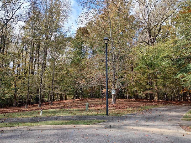 Wooded Homesite in Washington, NC : Washington : Beaufort County : North Carolina