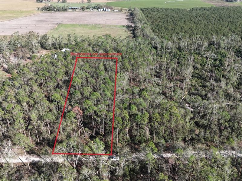 2 Acres in Beautiful Hamilton Count : Jasper : Hamilton County : Florida